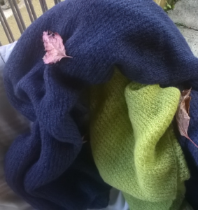 shawls and leaves friedas