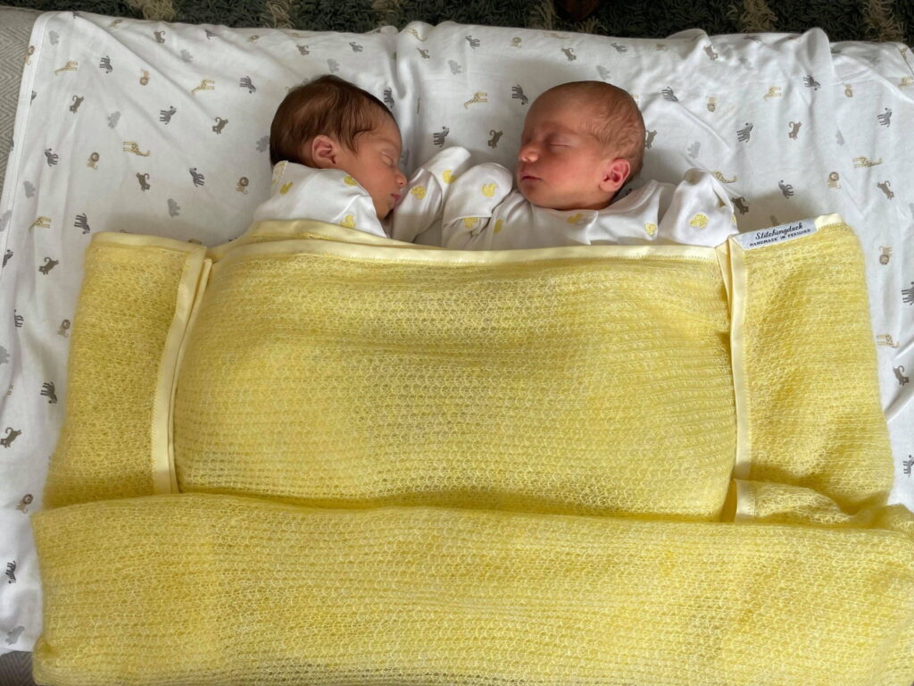 Mohair lineapiu camelot